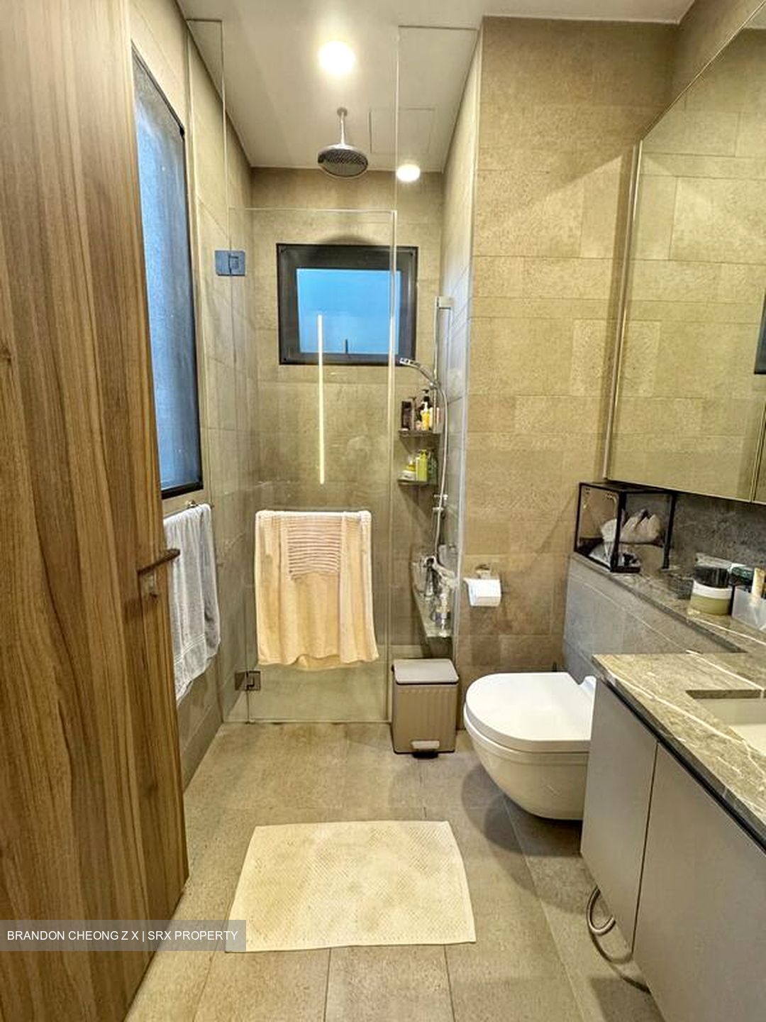 Daintree Residence (D21), Condominium #498163411